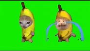 banana cat crying & running meme green screen