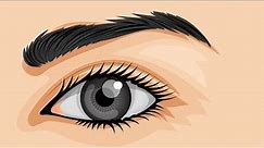 How to Draw Vector EYE ।।বাংলা টিউটোরিয়াল।। create a simple eye vector
