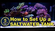 Saltwater aquarium setup - A simple, easy guide in 5 minute steps.
