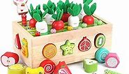 Toddlers Montessori Wooden Educational Toys for Baby Boys Girls Age 1 2 3 Year Old, Shape Sorting Toys 1st One First Birthday Girl Gifts for Kids 1-3, Wood Preschool Learning Fine Motor Skills Game