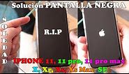 PANTALLA NEGRA IPHONE 11, 11 pro, 11 Pro Max , X, Xr, Xs, Xs Max y SE - SOLUCIÓN SENCILLA Y RÁPIDA