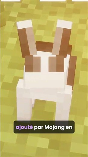 3 MINECRAFT SECRETS YOU PROBABLY DON'T KNOW 😳