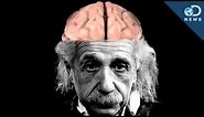 How Einstein's Brain Is Different Than Yours