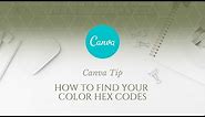 Canva Tip: How to Find Your Color Hex Codes