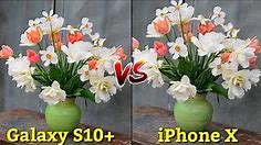 Samsung Galaxy S10 Plus VS iPhone X Camera Comparison Battle, Which is Better Camera, Camera Review