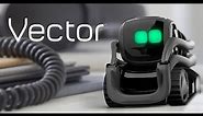 Fun facts about vector robot and what can vector do