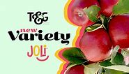 T&G Global Launches Joli™ Apple Variety; Gareth Edgecombe and Tony Martin Detail