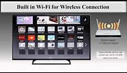 Panasonic - Television - Function - How to connect to Devices and the Internet.