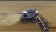 Harvesting Wheat with an S77 Gleaner