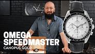 2021 Omega Speedmaster MoonWatch Canopus White Gold 310.63.42.50.02.001 Review | SwissWatchExpo