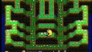 Pac-Man Arrangement(GBA)