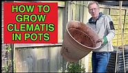 How To Grow Clematis In Pots