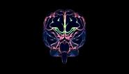 Brain Energy - Royalty Free Loop
