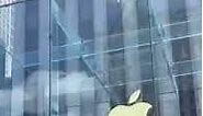 Apple Store, USA