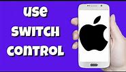 How to Use Switch Control on iPhone (2023)