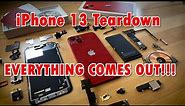 iPhone 13 Teardown - Everything comes out!