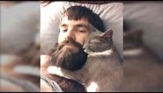Funny Cats Love Beards Compilation || NEW HD
