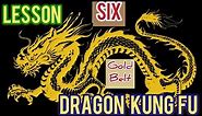 dragon kung fu for beginners with unique way /lesson 6 , full form tutorial / 龙拳
