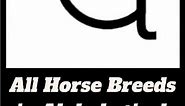 All Horse Breeds In Alphabetical Order