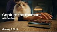 Galaxy Z Flip5: FlexCam - Got ya! l Samsung