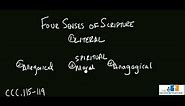 The Four Senses of Scripture