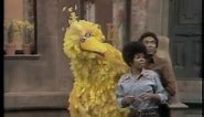 Sesame Street: 0546 Street Scenes- Bad Barney causes trouble for Big Bird