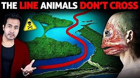 The Invisible LINE That No Animal, Bird or Fish Can Cross | The Wallace Line Truth Revealed