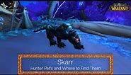 Skarr - Hunter Pets - Where to find it in World of Warcraft - ep 18
