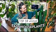 10 EASIEST Unusual Indoor Plants 🌱 Easy Houseplants Even YOU Can't Kill