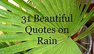 31 Beautiful Rain Quotes, to Wash Away the Pain