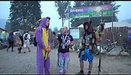 The People Who Take Psychedelics at Music Festivals | Shambhala