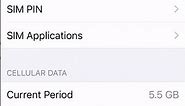 How to Check Data Usages on iPhone? #shorts #tutorial #data #iphone