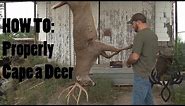 HOW TO: Cape a Deer PROPERLY for a Taxidermist | Daniel McVay