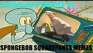 Squidward Reacts to SpongeBob SquarePants Memes