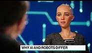Sophia the Robot Tries to Convince the Experts