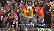 Raw video: Steelers fan ends up in cuffs after incident at Bengals game