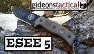 ESEE 5 Knife Review: A Brute Never Looked So Good