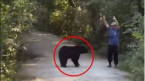 Man Tries to Scare Away Black Bear, Instantly Regrets it