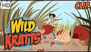 Wild Kratts - Carried Away by Termites