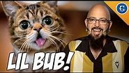 Internet-Famous Cat, Lil BUB chats with Jackson Galaxy!