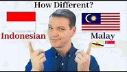 How Different Are Indonesian and Malay?!