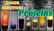 Color reactions of Proteins : Biochemistry series
