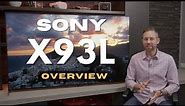 Sony X93L TV Overview