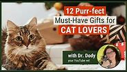12 Best Gift Ideas for Cat Lovers