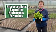 Common Misconceptions About Herbaceous Perennials | Excellent Options for the Garden Border