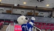 a (game) day in the life of Carlton the Bear 🐻💙 #leafs #nhl @mascots.to