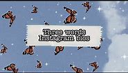 3 Words Instagram bios ideas *Super Interesting* || HRIDYAk.