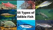 55 Types of Edible Fish