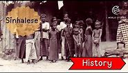 EP 13 History of the Sinhalese people | World Stories