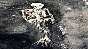 real mermaids found skeleton in africa